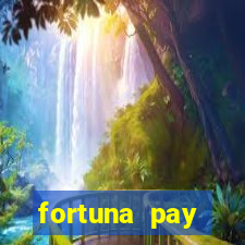 fortuna pay consultoria financeira ltda